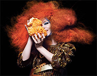 Fuji Rock Festival 11 picture